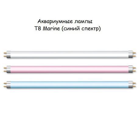 Лампа Т8 40W Marine (синяя / псевдоморе) для аквариума